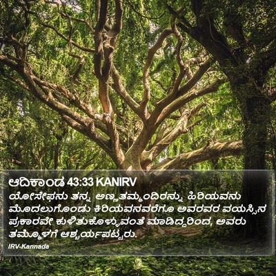 ಆದಿಕಾಂಡ 43:33 KANIRV Bible Verse Image