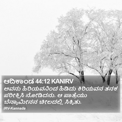 ಆದಿಕಾಂಡ 44:12 KANIRV Bible Verse Image
