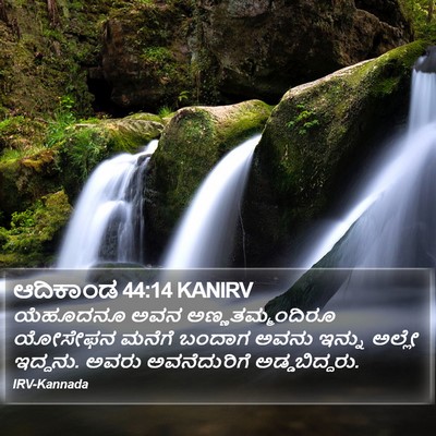 ಆದಿಕಾಂಡ 44:14 KANIRV Bible Verse Image
