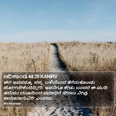 ಆದಿಕಾಂಡ 44:29 KANIRV Bible Verse Image