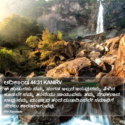ಆದಿಕಾಂಡ 44:31 KANIRV Bible Verse Image