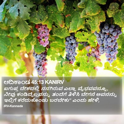ಆದಿಕಾಂಡ 45:13 KANIRV Bible Verse Image