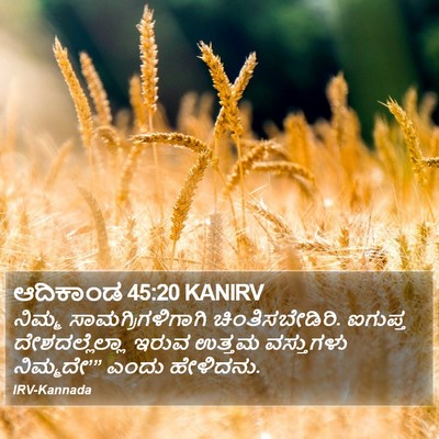 ಆದಿಕಾಂಡ 45:20 KANIRV Bible Verse Image