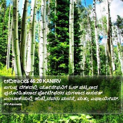 ಆದಿಕಾಂಡ 46:20 KANIRV Bible Verse Image
