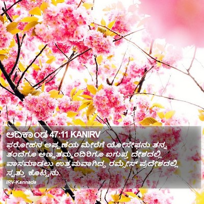 ಆದಿಕಾಂಡ 47:11 KANIRV Bible Verse Image