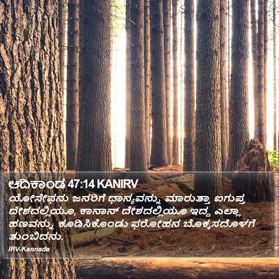 ಆದಿಕಾಂಡ 47:14 KANIRV Bible Verse Image