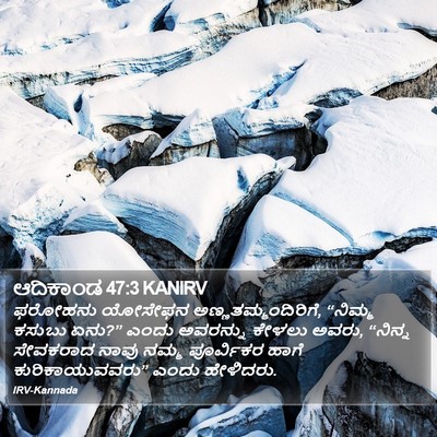 ಆದಿಕಾಂಡ 47:3 KANIRV Bible Verse Image