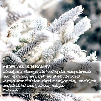 ಆದಿಕಾಂಡ 48:14 KANIRV Bible Verse Image