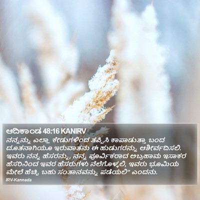 ಆದಿಕಾಂಡ 48:16 KANIRV Bible Verse Image