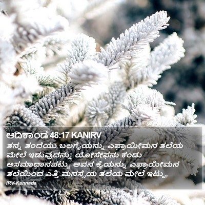 ಆದಿಕಾಂಡ 48:17 KANIRV Bible Verse Image