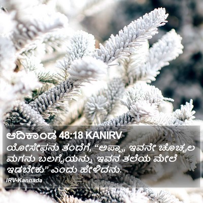 ಆದಿಕಾಂಡ 48:18 KANIRV Bible Verse Image