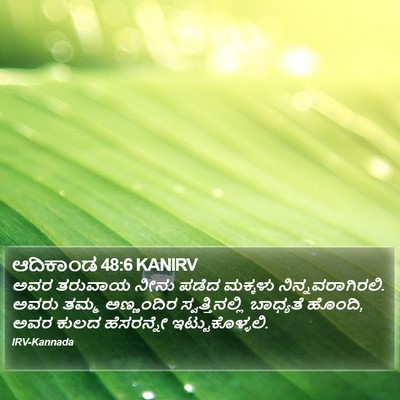 ಆದಿಕಾಂಡ 48:6 KANIRV Bible Verse Image
