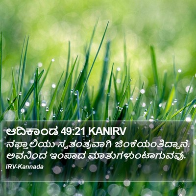 ಆದಿಕಾಂಡ 49:21 KANIRV Bible Verse Image