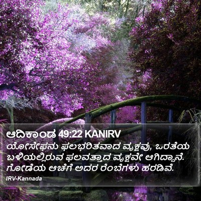 ಆದಿಕಾಂಡ 49:22 KANIRV Bible Verse Image