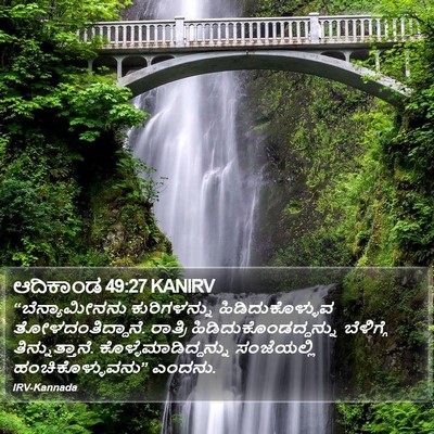 ಆದಿಕಾಂಡ 49:27 KANIRV Bible Verse Image