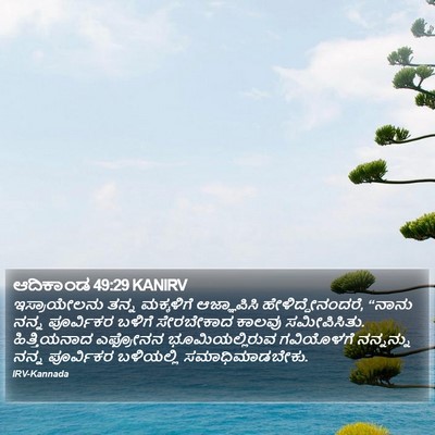 ಆದಿಕಾಂಡ 49:29 KANIRV Bible Verse Image