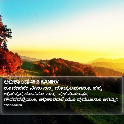 ಆದಿಕಾಂಡ 49:3 KANIRV Bible Verse Image