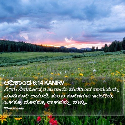 ಆದಿಕಾಂಡ 6:14 KANIRV Bible Verse Image