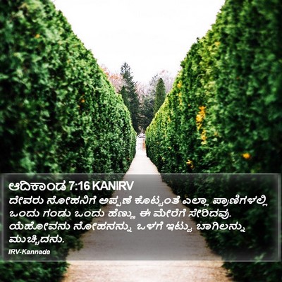 ಆದಿಕಾಂಡ 7:16 KANIRV Bible Verse Image