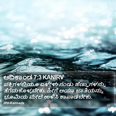 ಆದಿಕಾಂಡ 7:3 KANIRV Bible Verse Image