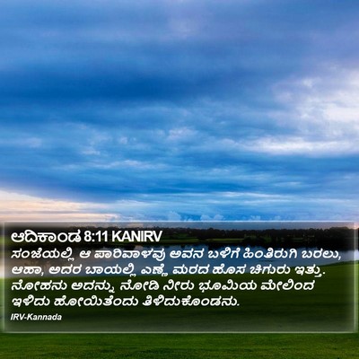 ಆದಿಕಾಂಡ 8:11 KANIRV Bible Verse Image