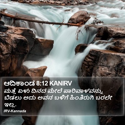 ಆದಿಕಾಂಡ 8:12 KANIRV Bible Verse Image