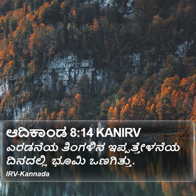 ಆದಿಕಾಂಡ 8:14 KANIRV Bible Verse Image