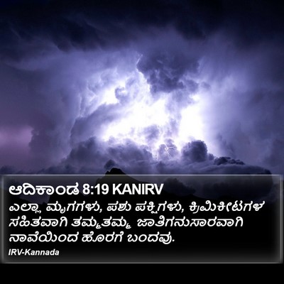 ಆದಿಕಾಂಡ 8:19 KANIRV Bible Verse Image