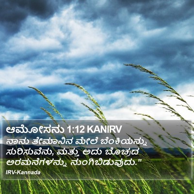 ಆಮೋಸನು 1:12 KANIRV Bible Verse Image