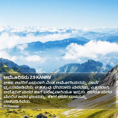 ಆಮೋಸನು 2:9 KANIRV Bible Verse Image