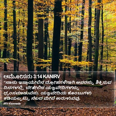 ಆಮೋಸನು 3:14 KANIRV Bible Verse Image