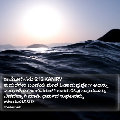 ಆಮೋಸನು 6:12 KANIRV Bible Verse Image