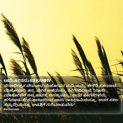ಆಮೋಸನು 6:8 KANIRV Bible Verse Image