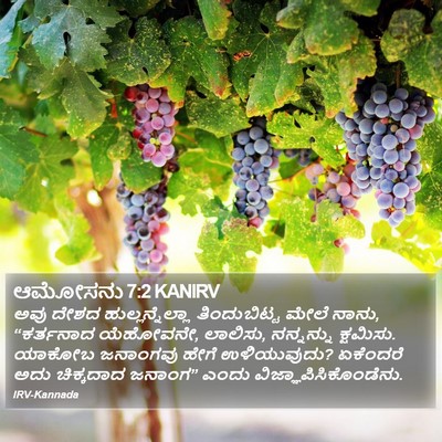 ಆಮೋಸನು 7:2 KANIRV Bible Verse Image