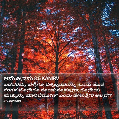 ಆಮೋಸನು 8:5 KANIRV Bible Verse Image