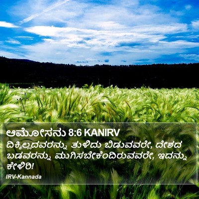 ಆಮೋಸನು 8:6 KANIRV Bible Verse Image