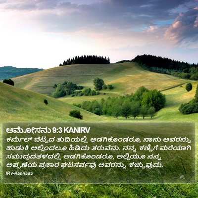 ಆಮೋಸನು 9:3 KANIRV Bible Verse Image