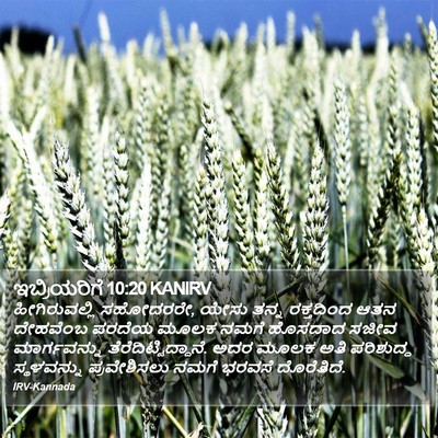 ಇಬ್ರಿಯರಿಗೆ 10:20 KANIRV Bible Verse Image