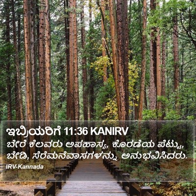 ಇಬ್ರಿಯರಿಗೆ 11:36 KANIRV Bible Verse Image