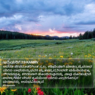 ಇಬ್ರಿಯರಿಗೆ 2:9 KANIRV Bible Verse Image