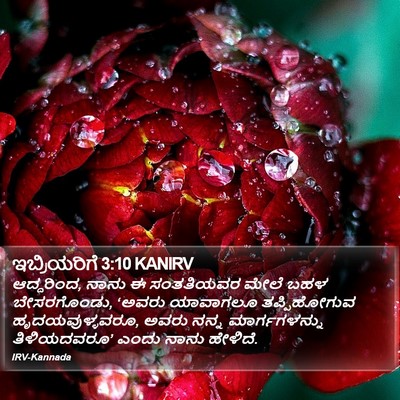 ಇಬ್ರಿಯರಿಗೆ 3:10 KANIRV Bible Verse Image
