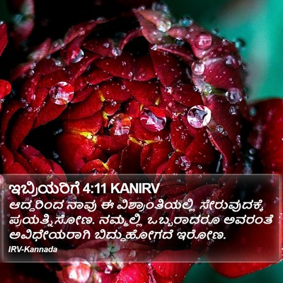 ಇಬ್ರಿಯರಿಗೆ 4:11 KANIRV Bible Verse Image