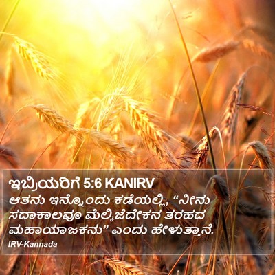 ಇಬ್ರಿಯರಿಗೆ 5:6 KANIRV Bible Verse Image