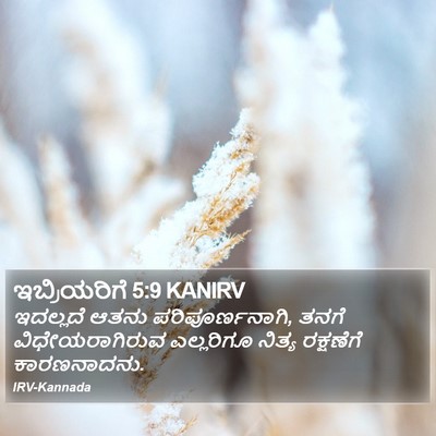 ಇಬ್ರಿಯರಿಗೆ 5:9 KANIRV Bible Verse Image