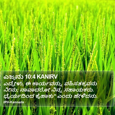 ಎಜ್ರನು 10:4 KANIRV Bible Verse Image