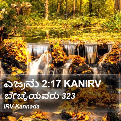 ಎಜ್ರನು 2:17 KANIRV Bible Verse Image