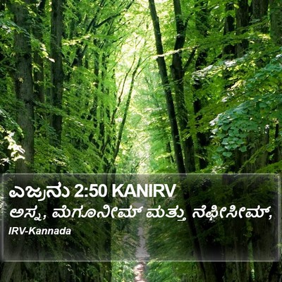 ಎಜ್ರನು 2:50 KANIRV Bible Verse Image