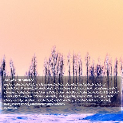ಎಜ್ರನು 3:8 KANIRV Bible Verse Image