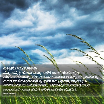 ಎಜ್ರನು 4:12 KANIRV Bible Verse Image
