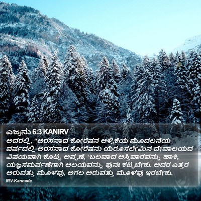 ಎಜ್ರನು 6:3 KANIRV Bible Verse Image